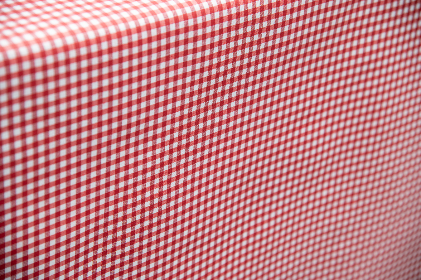 Beschichteter Baumwollstoff "Kariert rot weiß" (Breite 140 cm x Länge wählbar in 50 cm Schritten)