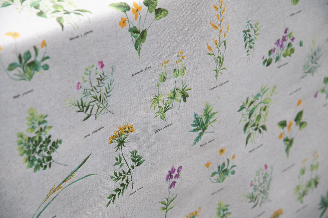 Beschichteter Baumwollstoff "Blumen Landhaus" (Breite 140 cm x Länge wählbar in 50 cm Schritten)